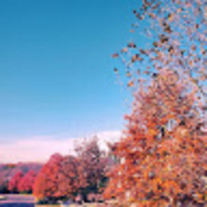 Meet your Posher, Mario